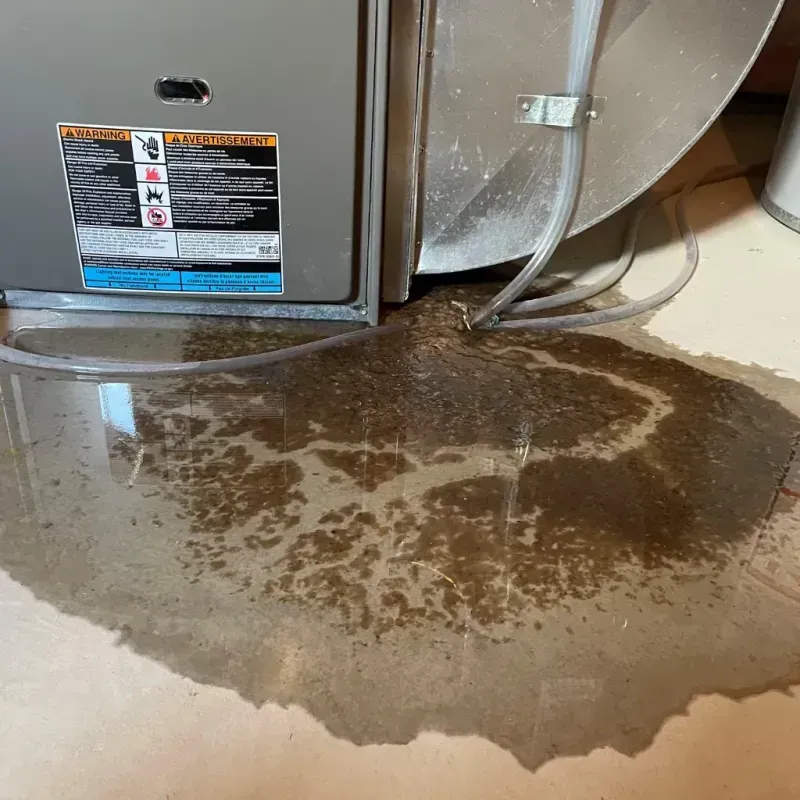 Appliance Leak Cleanup in Lawson, MO